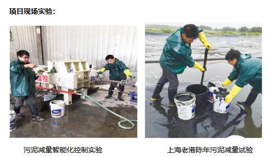 香港六宝典资料大全